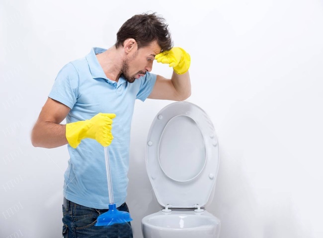 C&aacute;c cấu tạo của dụng cụ th&ocirc;ng bồn cầu bằng pittong