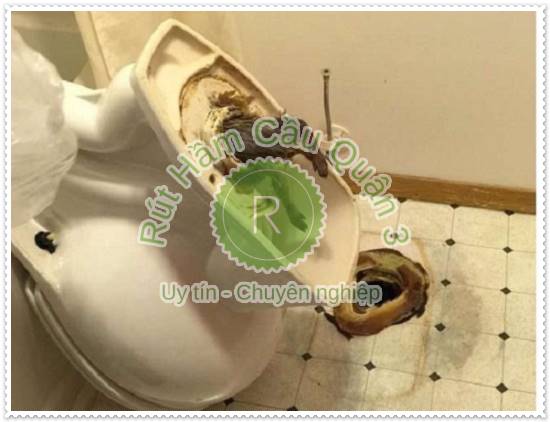 Thông bồn cầu tại nhà nghẹt do vật cứng