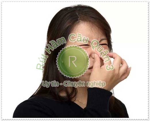 Bon-cau-xuat-hien-mui-hoi